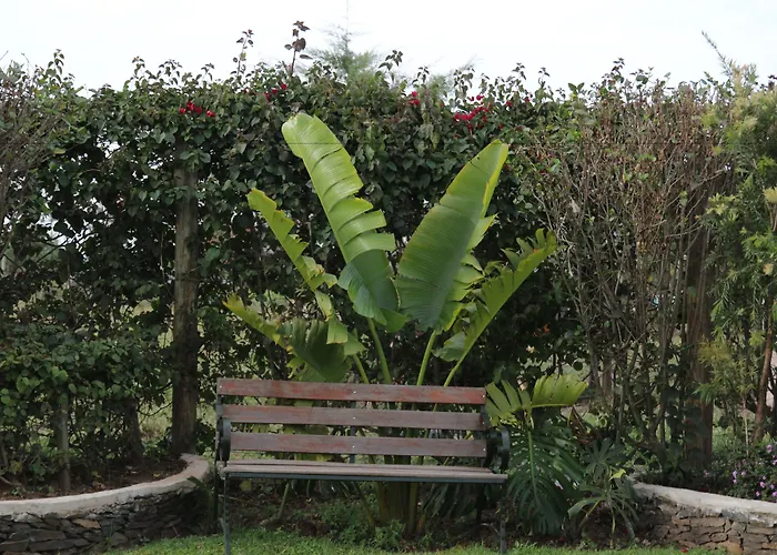 Sahara Gardens Bomet