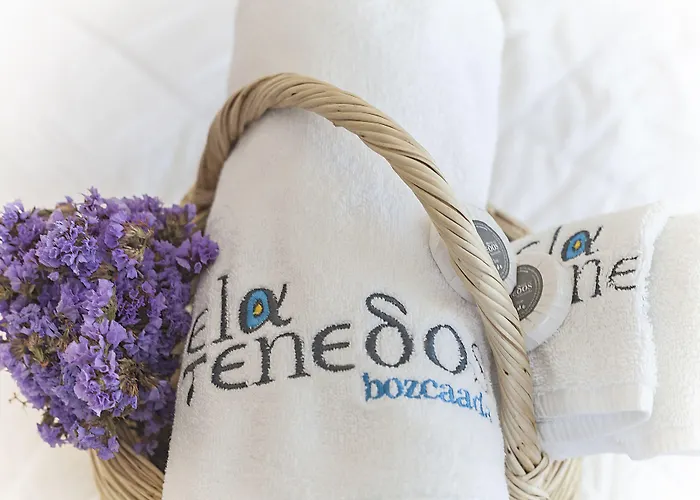 Ela Tenedos Hotel - Special Category