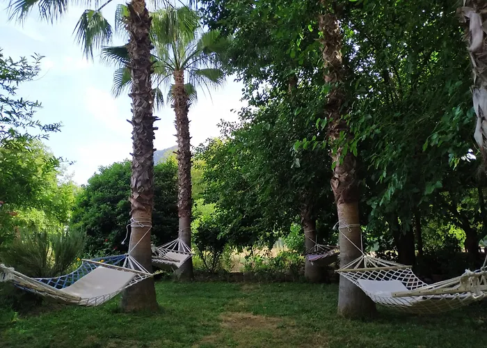 Olympos Yavuz Hotel