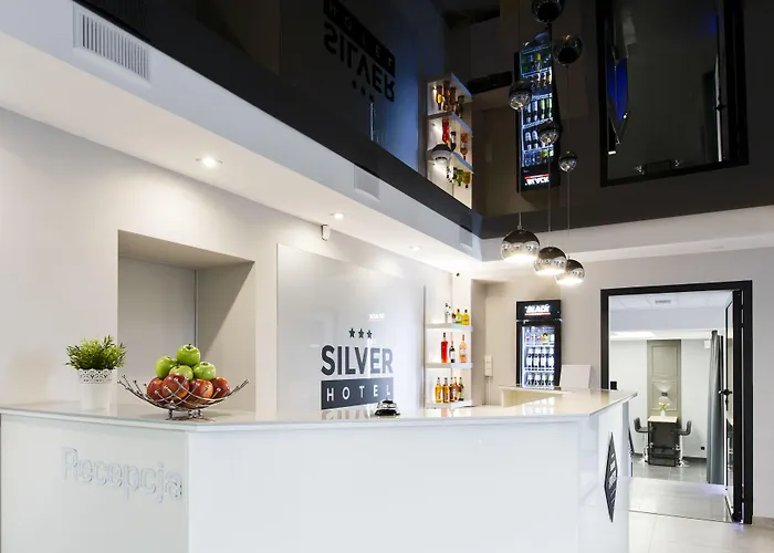 Hotel Silver
