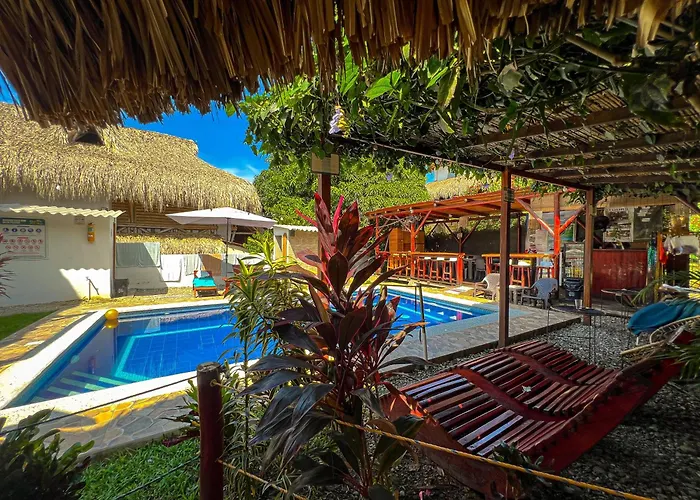 Rincon Del Mar Palomino