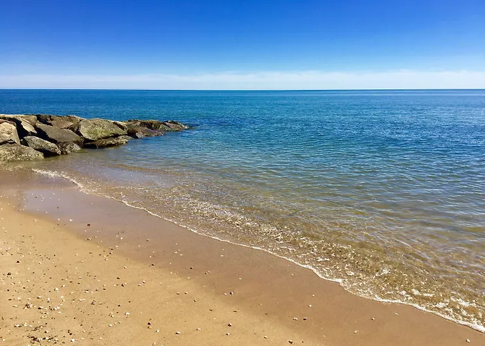 Kingfisher Oceanside