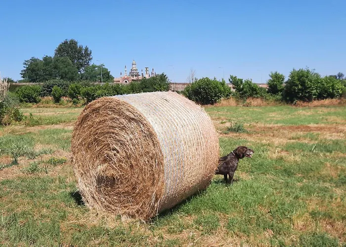 Cascina-Agrihotel -