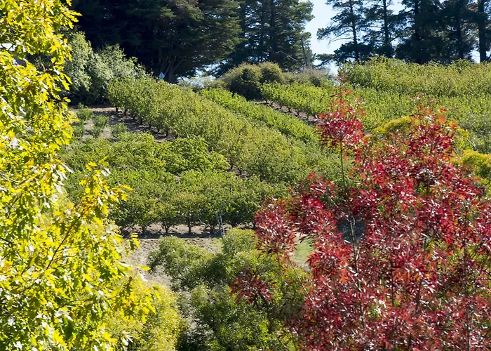 The Manor Basket Range