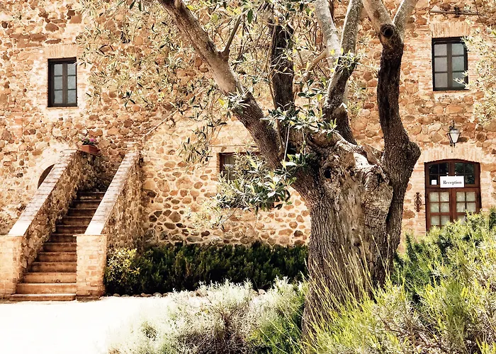 Tenuta Fattoria Vecchia