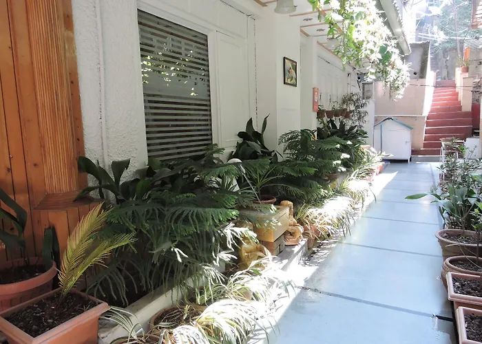 Hotel Chaman Palace
