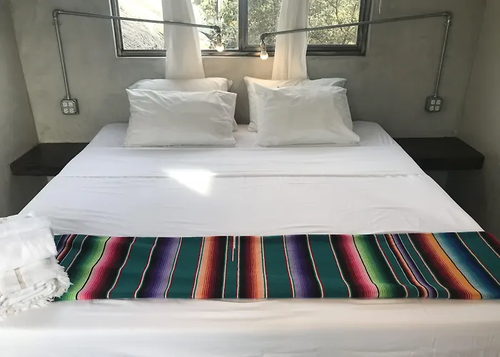 Outsite Todos Santos - Work, Connect, Explore