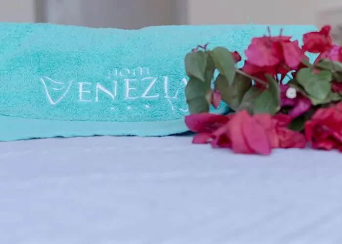 Hotel Venezia New