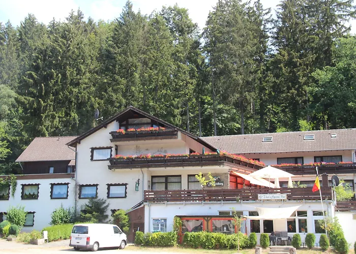 Hotel Finkenberg