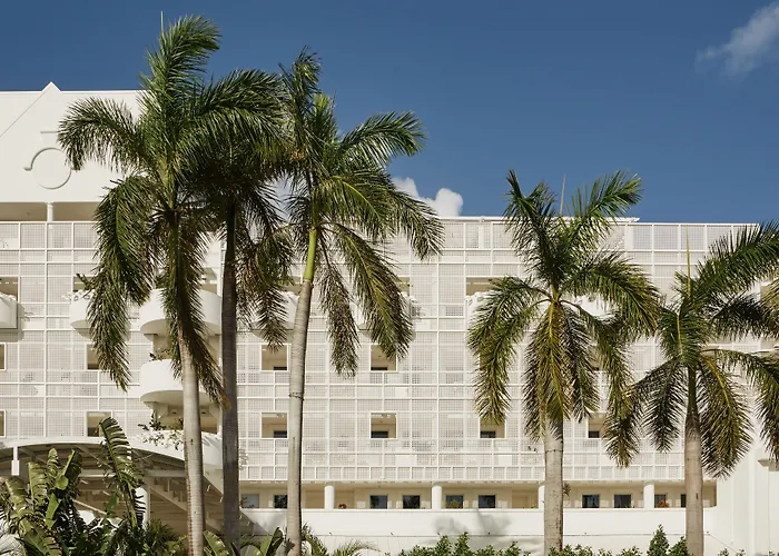 Palm Heights