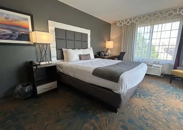 Best Western Erie Inn & Suites