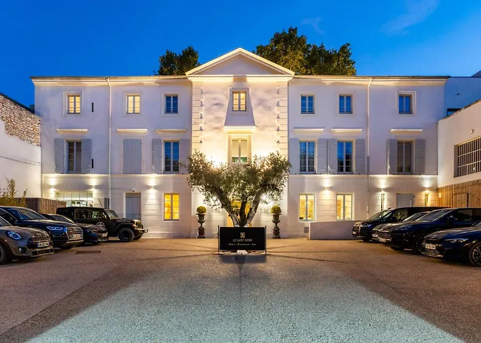 Hotel Le Saint Remy & Spa