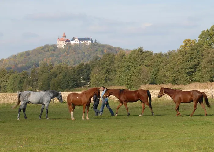 Land- und Aktivhotel Altmühlaue