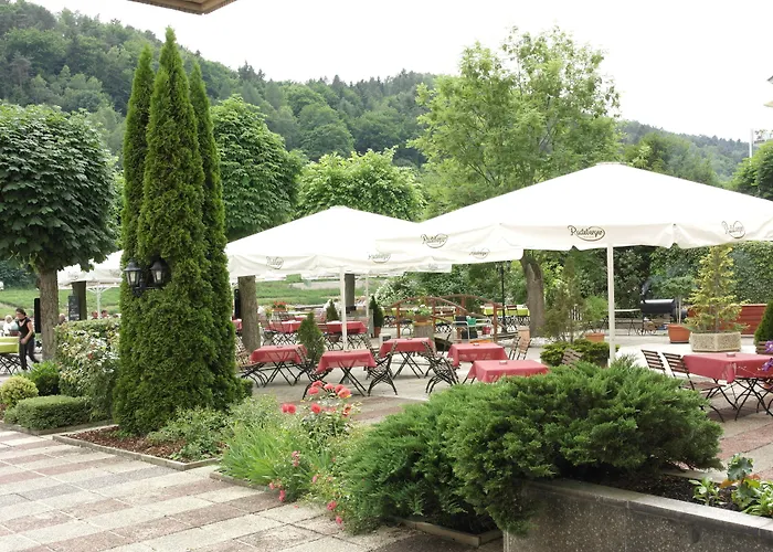 Elbhotel Bad Schandau