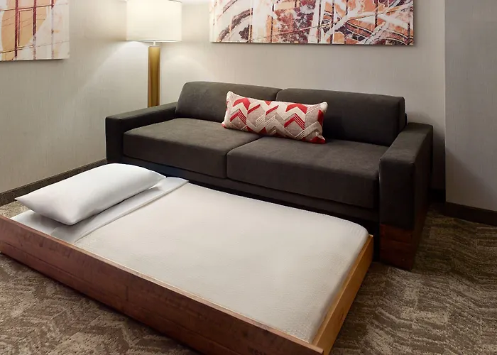 Springhill Suites By Marriott Atlanta Northwest
