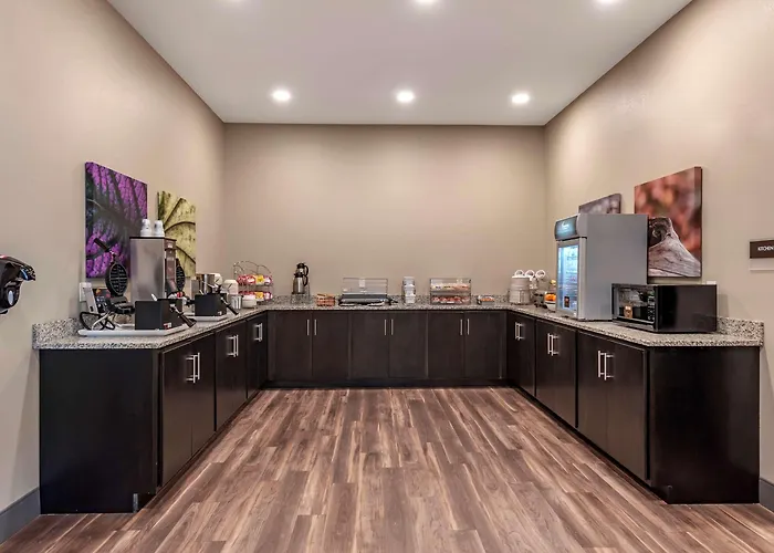 Mainstay Suites Newberry - Crane