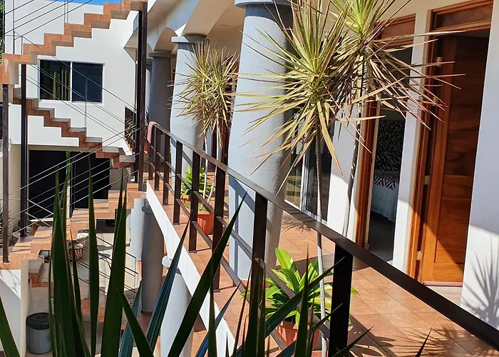 Carri Surf Studio