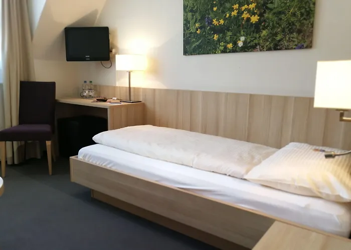 Hotel Loetschberg