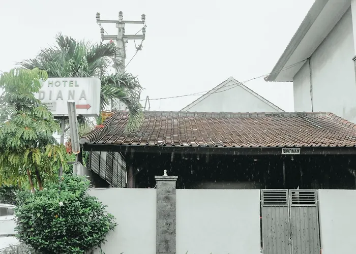 Hotel Diana 2