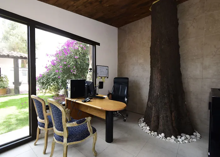 Hotel Palmas Teotihuacan