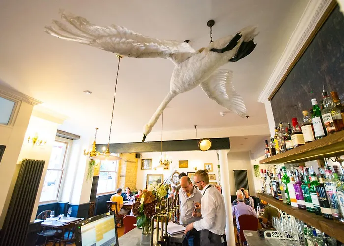 The Crooked Swan