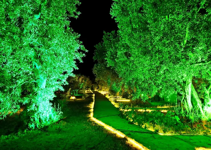 Adasu Otel