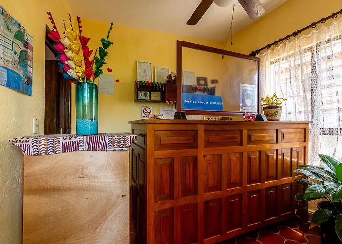 Hotel Delfin
