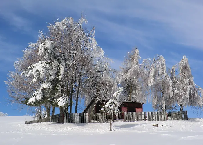 Hotel Zum Schneekopf Garni