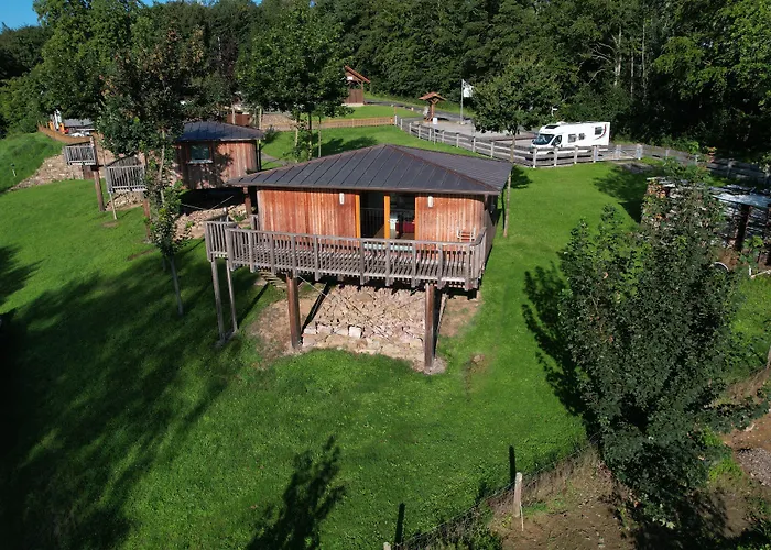 Hotel Waldquelle - Baumhaushotel Aerzen