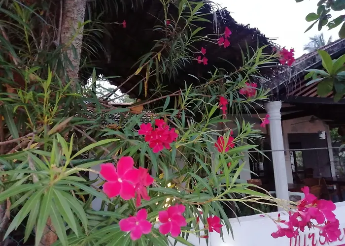 Bay Dreams Beach Hotel&Surf Camp