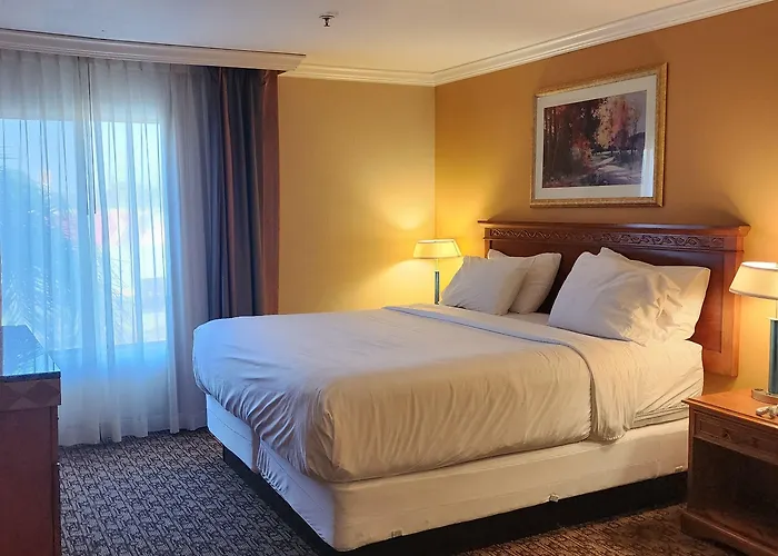 Hotel Xola