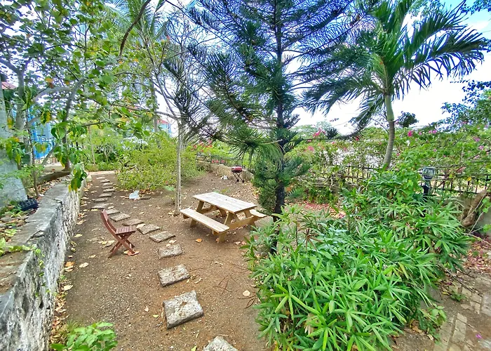 Sugar Apple Bed And Breakfast