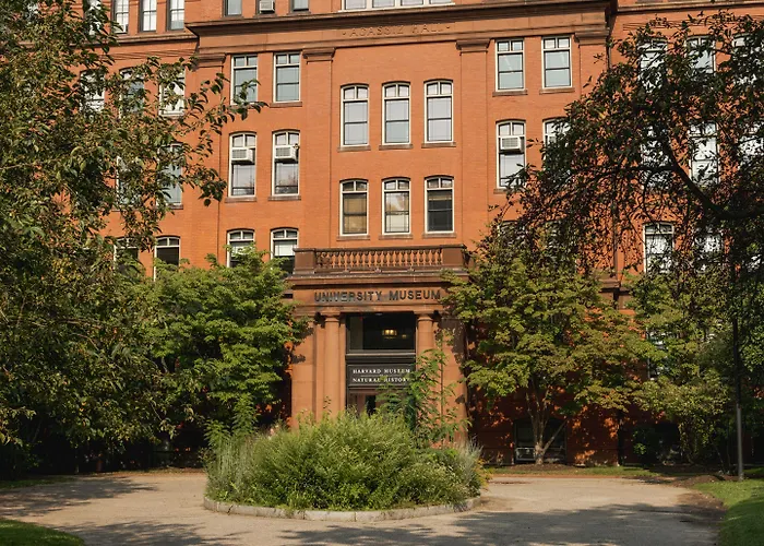 Lark Hotels 907 Main