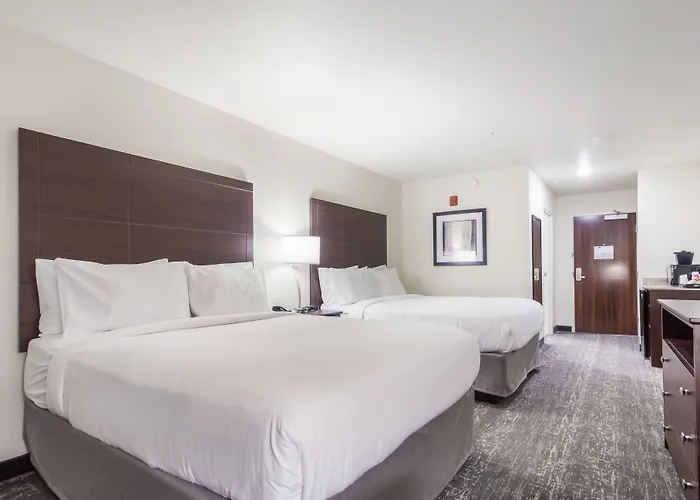 Cobblestone Inn & Suites-Fremont