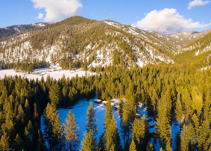 Bear Creek Resort