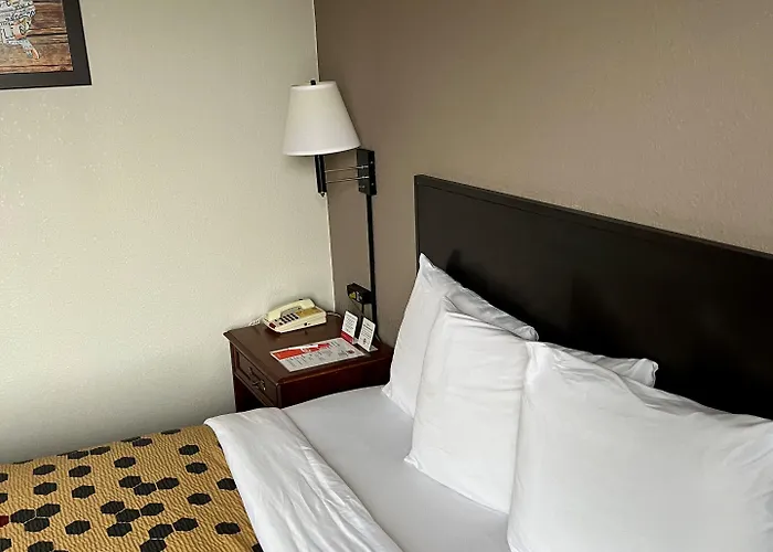 Red Carpet Inn Quantico