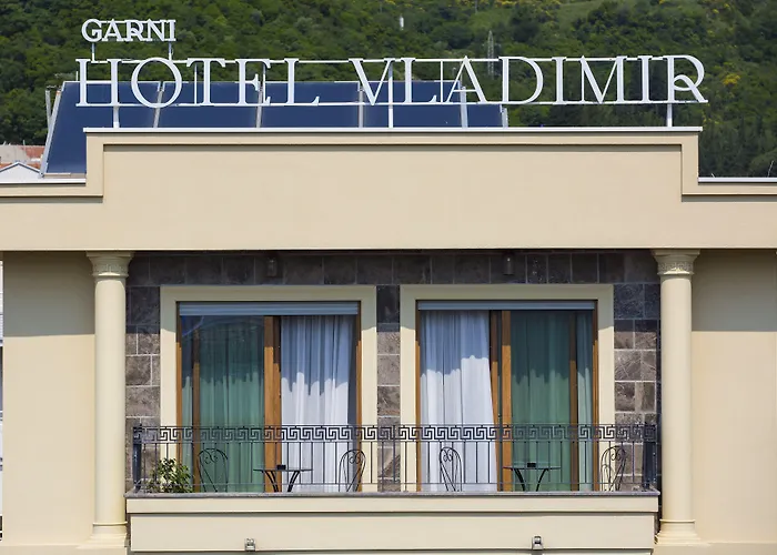 Hotel Vladimir