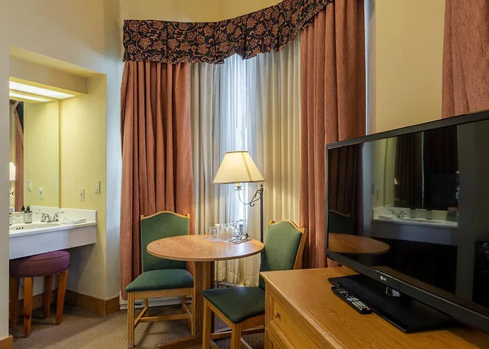Cozy Pet-Friendly King Studio In Mt, Crested Butte Condo