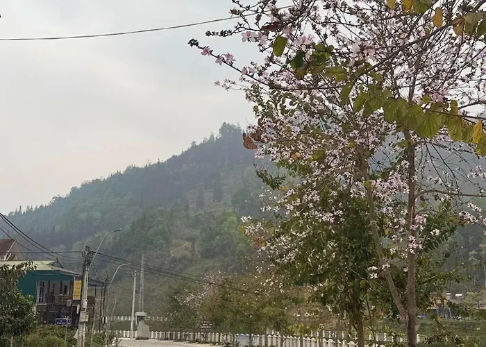Khach San Giang Son Bac Ha Lao Cai