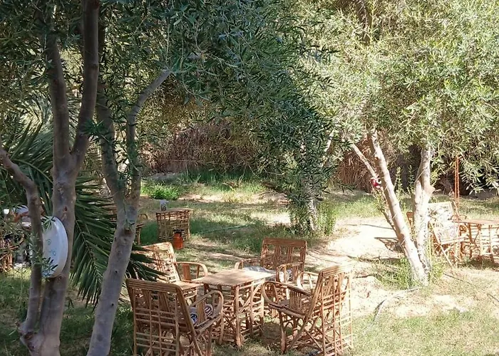 The Green Siwa Hotel
