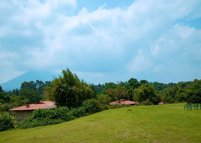 Mountain Gorilla View Lodge