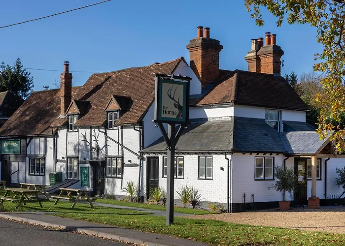 The Horns Pub - Crazies Hill