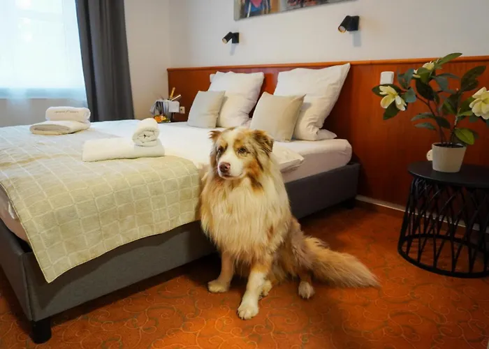 Hotel Snezka