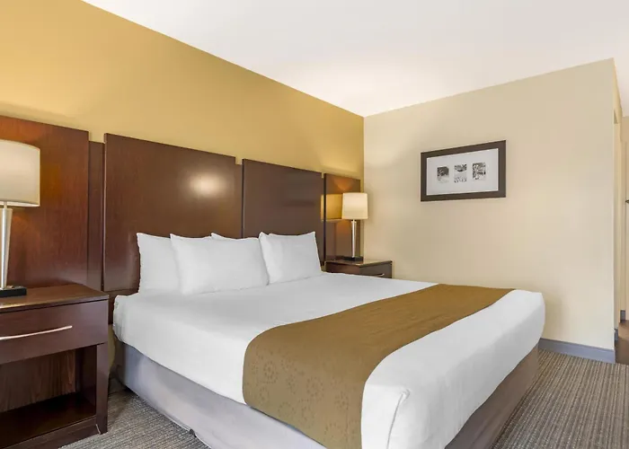 Best Western Plus Plaza By The Green