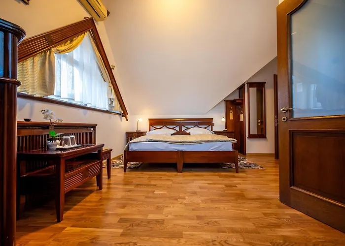 Pension Brasovu Vechi