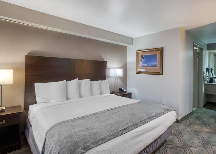 Surestay By Best Western Salt Lake City Downtown