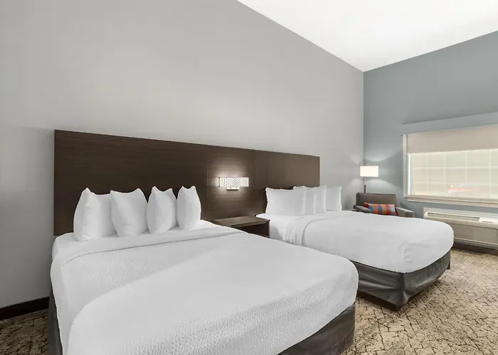 Best Western Plus New Caney Inn & Suites