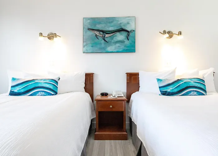 Hotel Plante