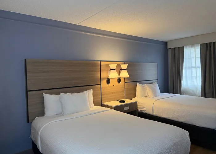 La Quinta By Wyndham St Petersburg-Clearwater