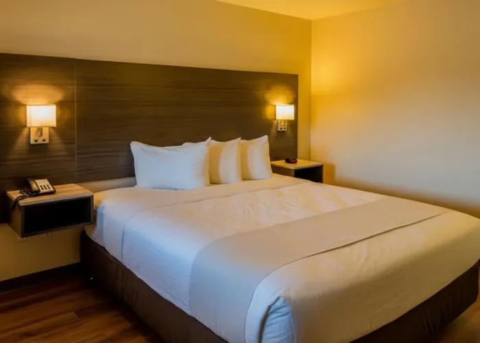 Oyo Hotel Yoakum West